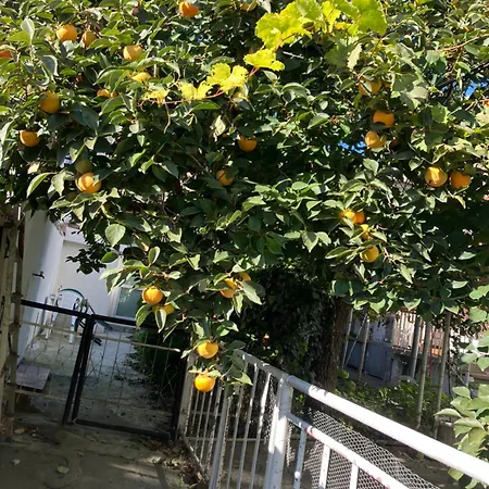 Rayskata Yabalka Case de vacanță Varna