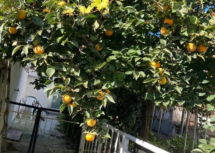 Rayskata Yabalka Nyaraló Várna